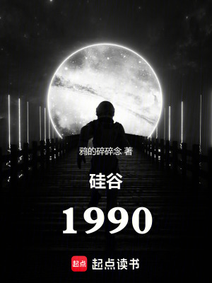 硅谷1990TXT下载"